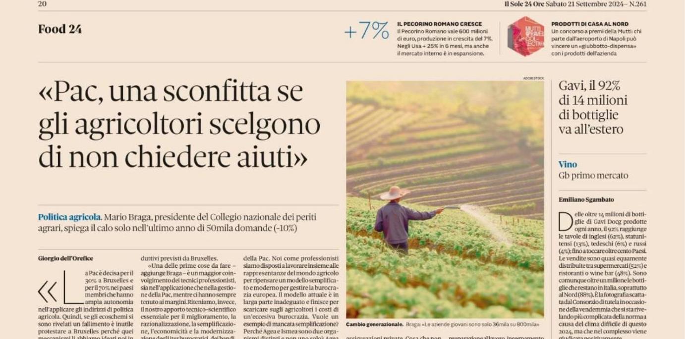 INTERVISTA AL SOLE 24 ORE del Presidente del CNPAPAL